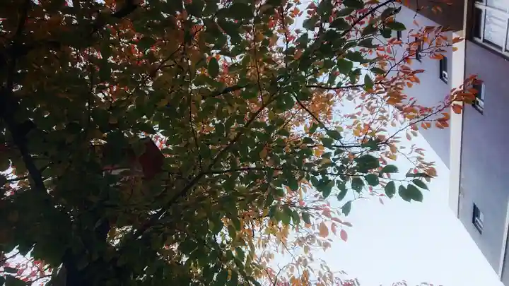 尾張大國霊神社(国府宮)の自然