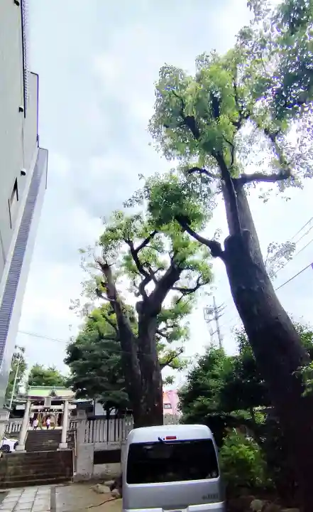 多田神社(東京都)