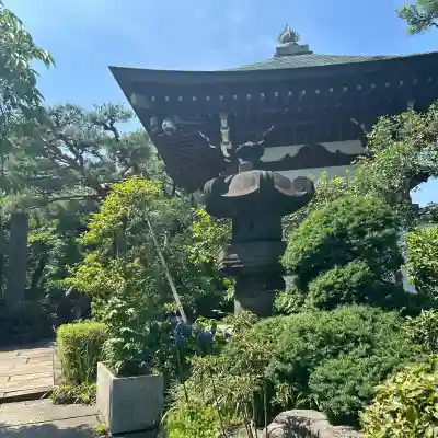 養玉院如来寺(東京都)