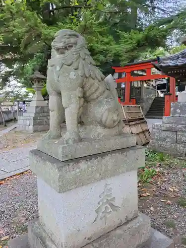 玉前神社の狛犬