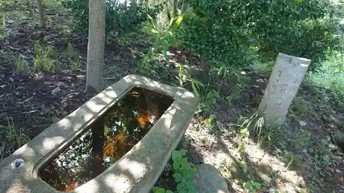 若宮神明社の手水舎