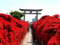 長岡天満宮の庭園