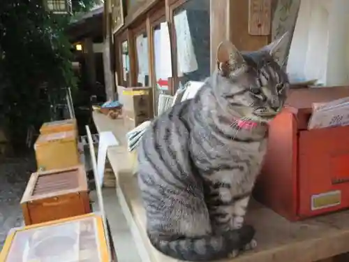 梅宮大社(京都府)