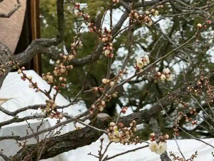 太宰府天満宮の{uncategorized: "未分類", other: "その他", undefined: "問題あり", building: "その他建物", grave: "お墓", sacred_gate: "鳥居", guardian: "狛犬", statue: "像", buddha: "仏像", history: "歴史", nature: "自然", garden: "庭園", animal: "動物", pagoda: "塔", temizu: "手水舎", mountain_gate: "山門・神門", sanctuary: "本殿・本堂", subordinate: "末社・摂社", art: "芸術", scenery: "景色", jizo: "地蔵", ema: "絵馬", goshuin: "御朱印", omikuji: "おみくじ", items: "授与品その他", amulet: "お守り", goshuincho: "御朱印帳", eats: "食事", festival: "お祭り", votive_dance: "神楽", shichigosan: "七五三参", wedding: "結婚式", experience: "体験その他", initially: "初詣", around: "周辺", anti_infection: "感染症対策"}