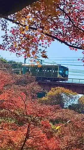 神應寺(京都府)