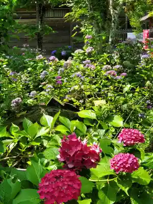 石都々古和気神社(福島県)