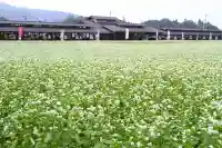 【公式】龍門院常楽寺(秩父札所十一番)の景色