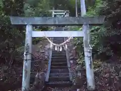 南宮神社(岐阜県)