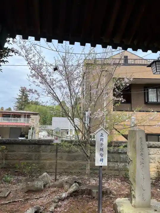 神炊館神社 ⁂奥州須賀川総鎮守⁂(福島県)