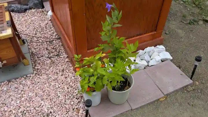 柳彩釧路浅間神社の庭園