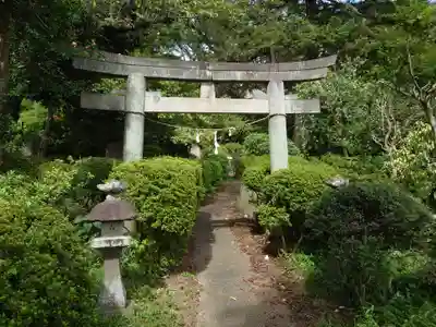 武州白子熊野神社の鳥居