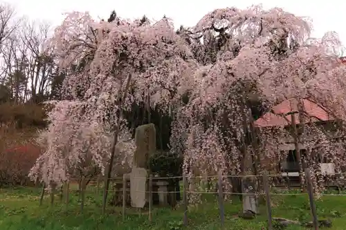 永泉寺の庭園