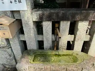 賀茂御祖神社（下鴨神社）(京都府)