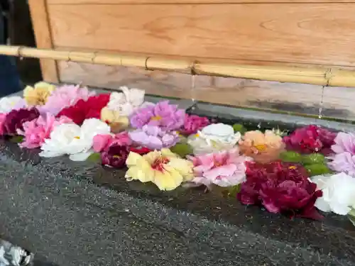 西新井大師総持寺(東京都)