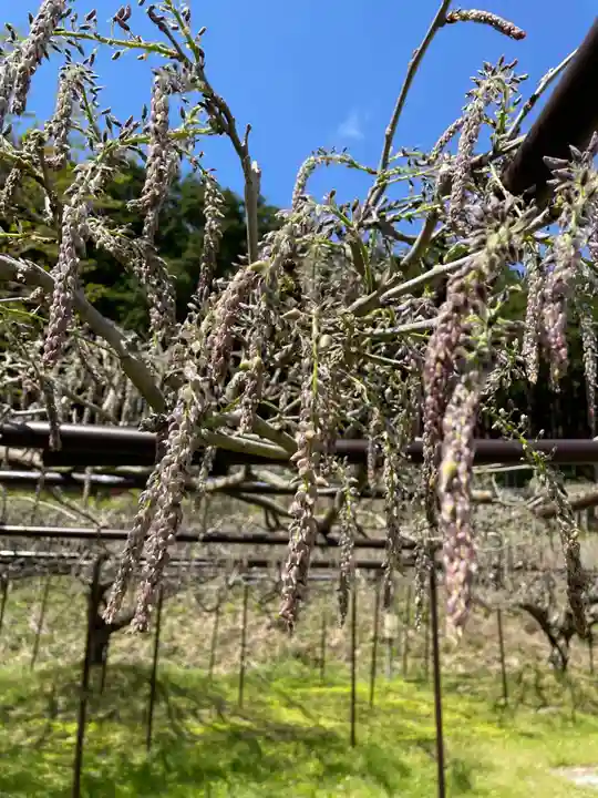 天台宗 五大山 白毫寺(兵庫県)