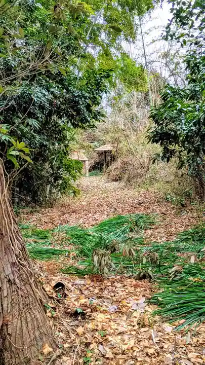薬師堂厳島神社のその他建物
