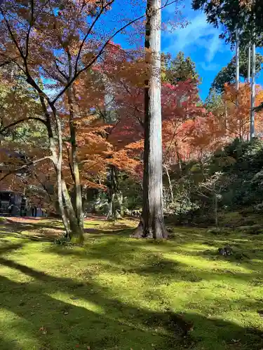 三千院門跡(京都府)