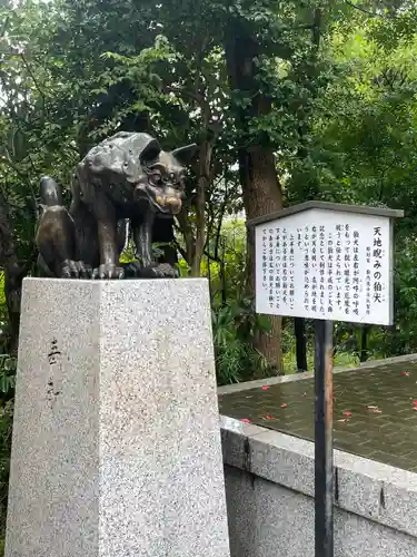 稲毛神社の狛犬