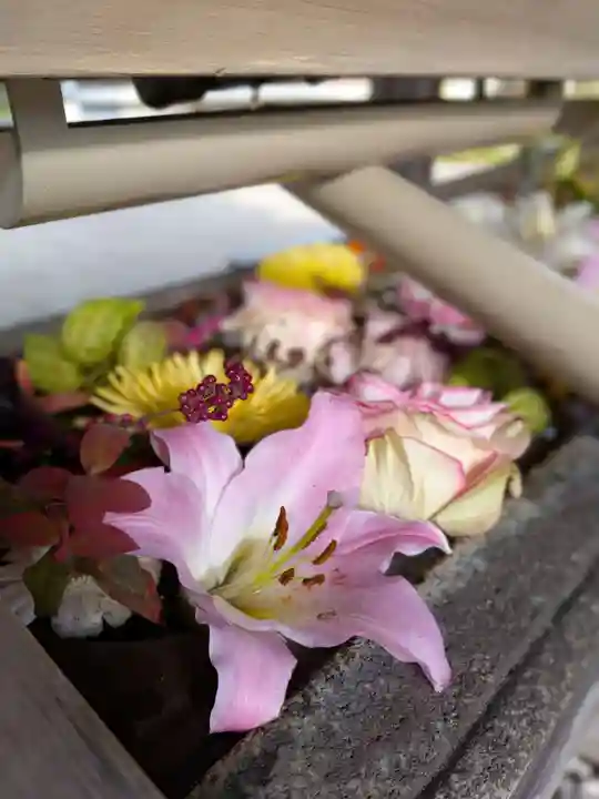鳩森八幡神社(東京都)