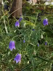 長命寺の自然