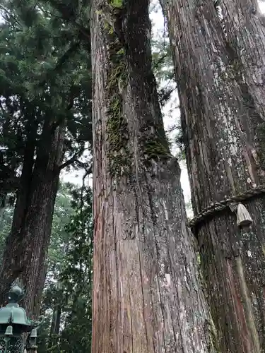 三峯神社の自然