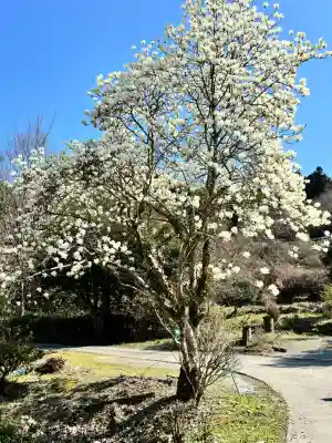 桐ノ木谷薬師堂の{uncategorized: "未分類", other: "その他", undefined: "問題あり", building: "その他建物", grave: "お墓", sacred_gate: "鳥居", guardian: "狛犬", statue: "像", buddha: "仏像", history: "歴史", nature: "自然", garden: "庭園", animal: "動物", pagoda: "塔", temizu: "手水舎", mountain_gate: "山門・神門", sanctuary: "本殿・本堂", subordinate: "末社・摂社", art: "芸術", scenery: "景色", jizo: "地蔵", ema: "絵馬", goshuin: "御朱印", omikuji: "おみくじ", items: "授与品その他", amulet: "お守り", goshuincho: "御朱印帳", eats: "食事", festival: "お祭り", votive_dance: "神楽", shichigosan: "七五三参", wedding: "結婚式", experience: "体験その他", initially: "初詣", around: "周辺", anti_infection: "感染症対策"}