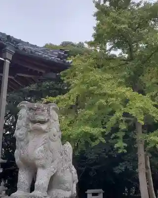 素盞嗚神社の狛犬