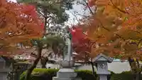 妙顯寺(妙顕寺)(京都府)