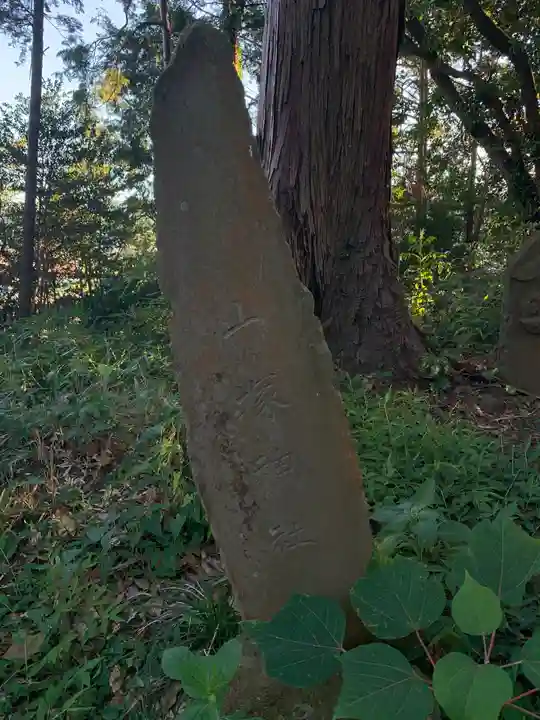 冨崎神社の自然