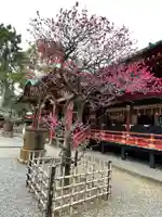 根津神社(東京都)
