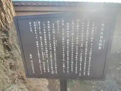 地福院(法光寺)(栃木県)