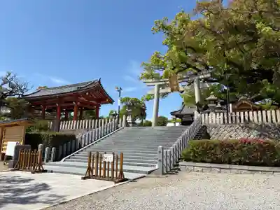 百舌鳥八幡宮(大阪府)
