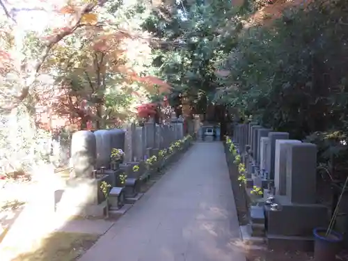 本土寺(千葉県)