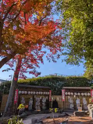 中野沼袋氷川神社(東京都)