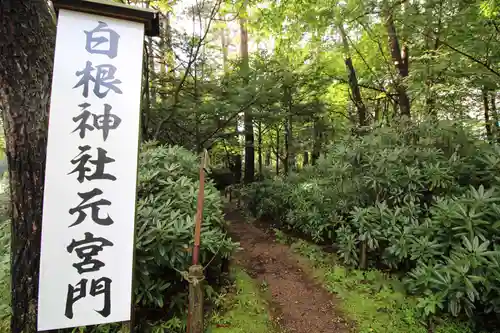 白根神社の建物その他