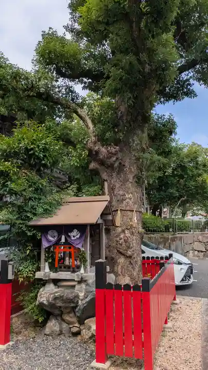 両國寺(柳谷観音大津別院)(滋賀県)
