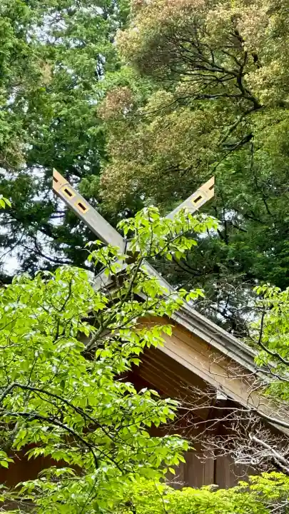 高鴨神社(奈良県)