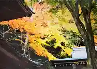 金剛輪寺の景色