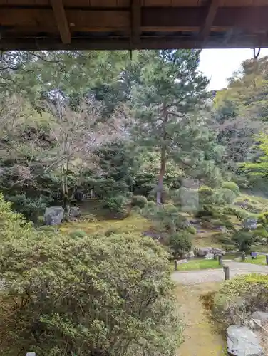 青蓮院門跡の庭園