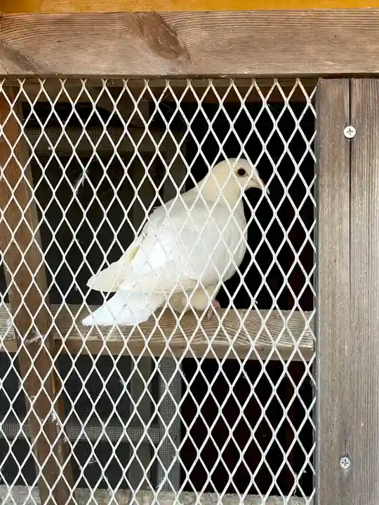 高山神社(群馬県)