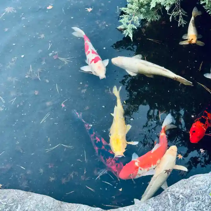 蓮花院(埼玉県)
