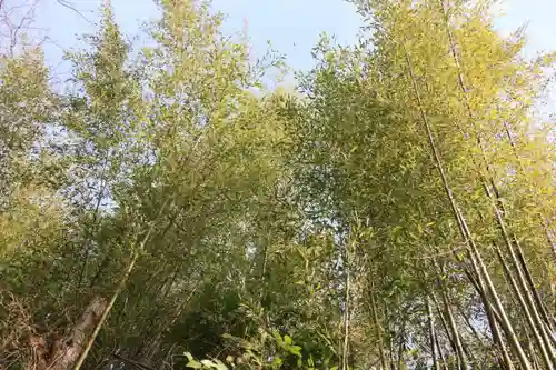 大六天麻王神社の景色
