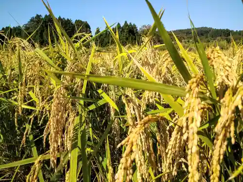 熊野神社(宮城県)