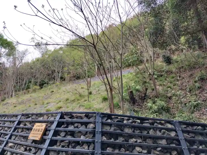 出雲大神宮の{uncategorized: "未分類", other: "その他", undefined: "問題あり", building: "その他建物", grave: "お墓", sacred_gate: "鳥居", guardian: "狛犬", statue: "像", buddha: "仏像", history: "歴史", nature: "自然", garden: "庭園", animal: "動物", pagoda: "塔", temizu: "手水舎", mountain_gate: "山門・神門", sanctuary: "本殿・本堂", subordinate: "末社・摂社", art: "芸術", scenery: "景色", jizo: "地蔵", ema: "絵馬", goshuin: "御朱印", omikuji: "おみくじ", items: "授与品その他", amulet: "お守り", goshuincho: "御朱印帳", eats: "食事", festival: "お祭り", votive_dance: "神楽", shichigosan: "七五三参", wedding: "結婚式", experience: "体験その他", initially: "初詣", around: "周辺", anti_infection: "感染症対策"}
