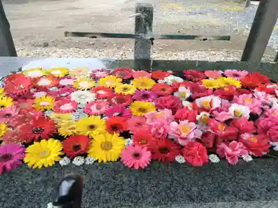 長沼八幡宮(栃木県)