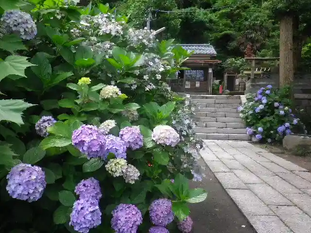 五所神社の自然