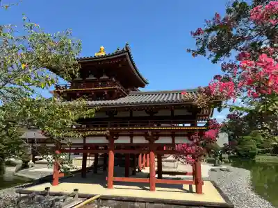 平等院の{uncategorized: "未分類", other: "その他", undefined: "問題あり", building: "その他建物", grave: "お墓", sacred_gate: "鳥居", guardian: "狛犬", statue: "像", buddha: "仏像", history: "歴史", nature: "自然", garden: "庭園", animal: "動物", pagoda: "塔", temizu: "手水舎", mountain_gate: "山門・神門", sanctuary: "本殿・本堂", subordinate: "末社・摂社", art: "芸術", scenery: "景色", jizo: "地蔵", ema: "絵馬", goshuin: "御朱印", omikuji: "おみくじ", items: "授与品その他", amulet: "お守り", goshuincho: "御朱印帳", eats: "食事", festival: "お祭り", votive_dance: "神楽", shichigosan: "七五三参", wedding: "結婚式", experience: "体験その他", initially: "初詣", around: "周辺", anti_infection: "感染症対策"}