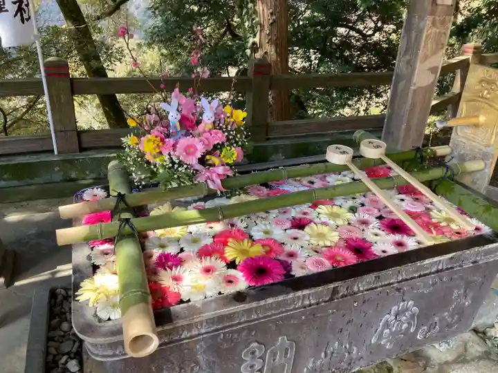 唐澤山神社(栃木県)