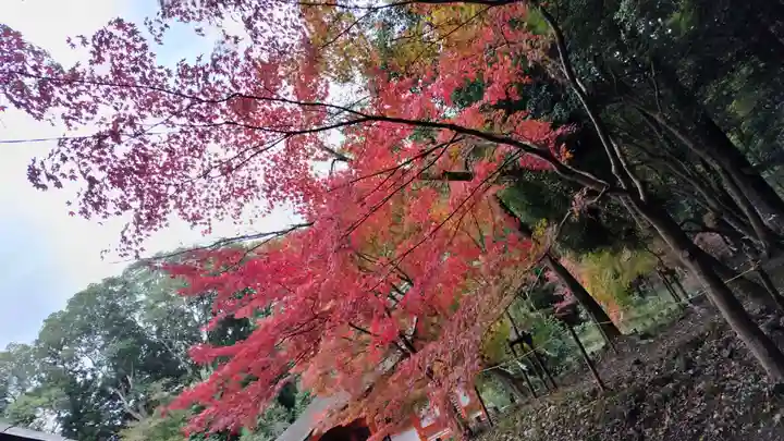 出雲大神宮(京都府)