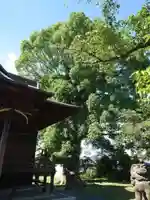 田代八坂神社(佐賀県)
